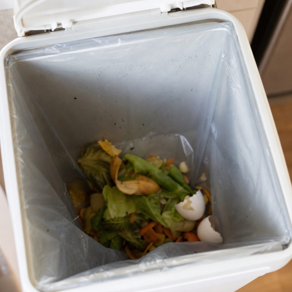 gros plan sur une poubelle de cuisine ouverte avec quelques déchets organiques au fond, lumière naturelle de cuisine