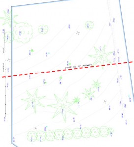 Plan de Masse