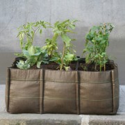 pot bacsac
